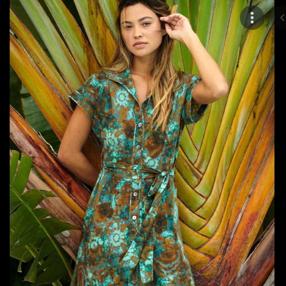 The Westside Shop Button down dress